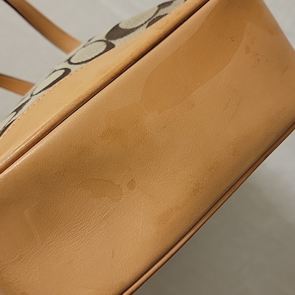 Coach - Picture 6 of 8